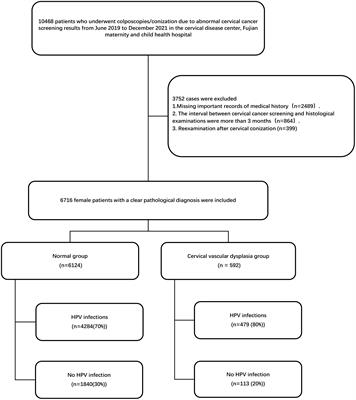 Associations of human papillomavirus genotypes and cervical vascular abnormality in a cohort of women underwent colposcopy, a retrospective study of 6716 patients